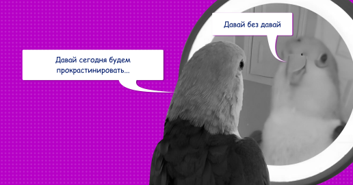 Прокрастинация